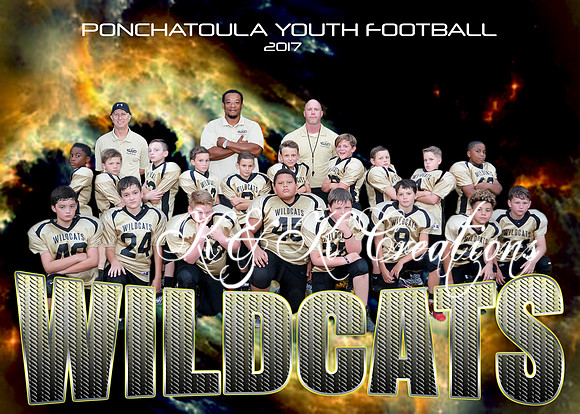 5X7 WILDCATS TEAM PYF 2017
