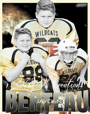 JAYDEN BERTEAU COLLAGE