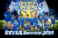 tigers_schillage