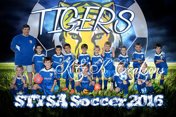 tigers_schillage