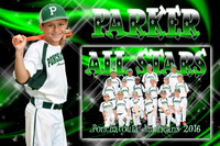 PARKER ROUBIQUE MEMORY MATE