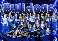 SPRINGFIELD MIDDLE SOFTBALL 2016