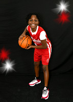 brushon barnes_2012