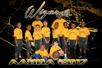 Wizards