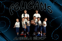 8x12 PELICANS TEAM AABBA