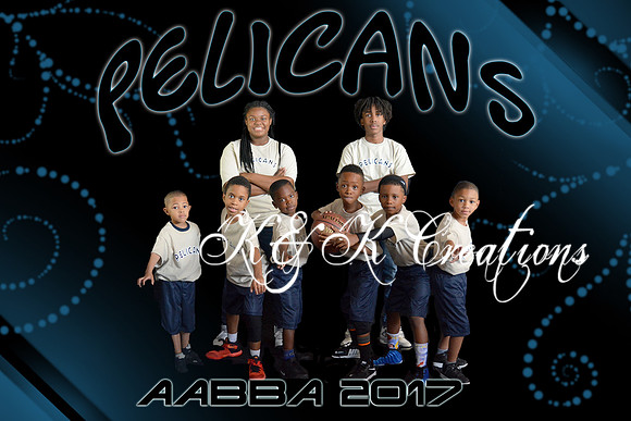 8x12 PELICANS TEAM AABBA