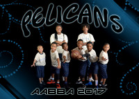 Pelicans