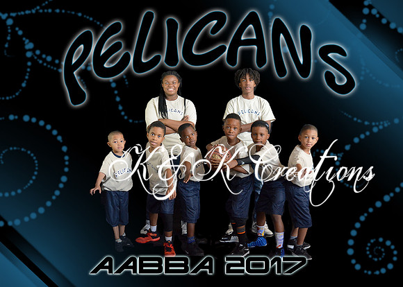 5x7 PELICANS TEAM AABBA