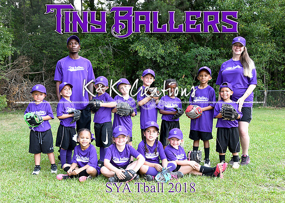 5x7 sya tiny ballers tball team