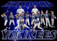 YANKEES 7U 2016