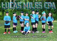 Lucas Miles CPA