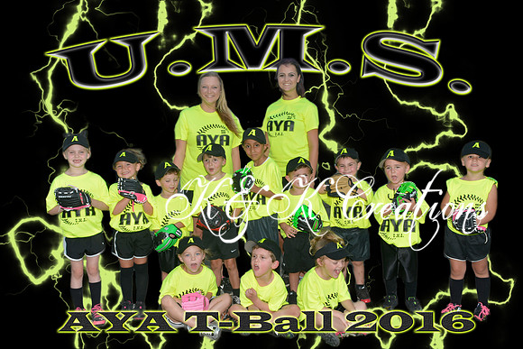 usm team photo
