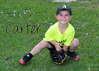 carter_2