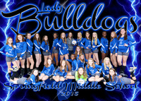 Springfield Middle Volleyball 2015