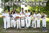 8X12 11-12B JANI KING TEAM