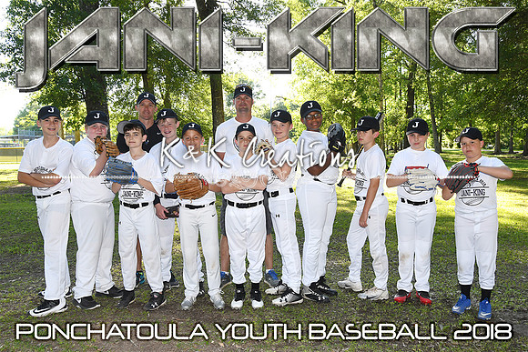 8X12 11-12B JANI KING TEAM