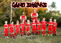 5X7 CAMO SHARKS MATTHEW TEAM