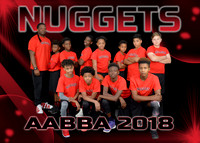 NUGGETS