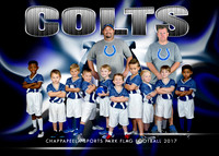 COLTS 4-5YR