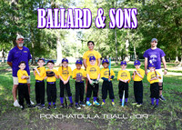 TBALL Ballard & Sons