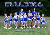 Cheer 11-13
