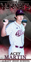 ACEY MARTIN  BANNER