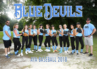Blue Devils 12-14 Girls