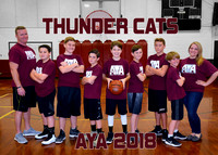 11-13 Boys #2 Thunder Cats