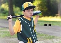 COLLIN PRESCIA_0011