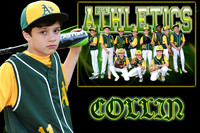 COLLIN PRESCIA MEMORY MATE