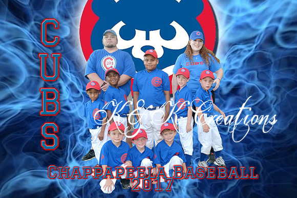 cubs team