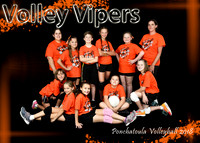 Volley Vipers
