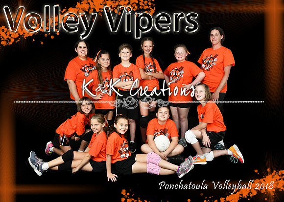 5x7 Volley Vipers TEAM