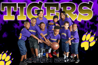 8X12 TIGERS TEAM AABBA