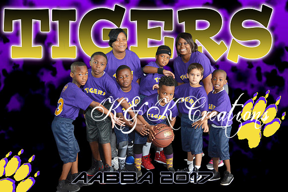 8X12 TIGERS TEAM AABBA