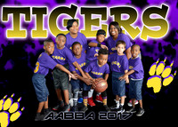 TIGERS