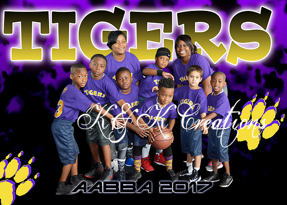 5x7 TIGERS TEAM AABBA