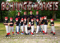 6 Coach Pitch Bohning's Markets