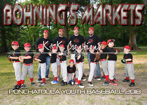 5x7 6cp BOHNINGS MARKETS TEAM