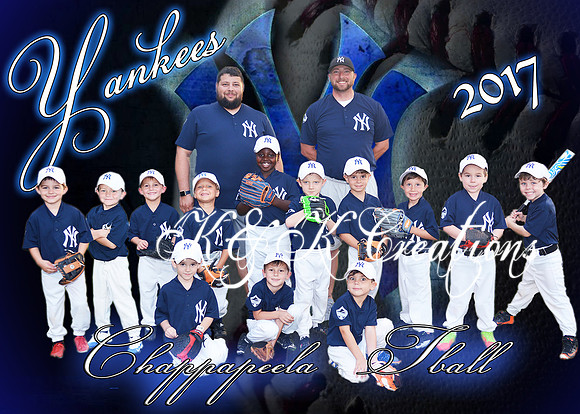 5x7 tball yankees team