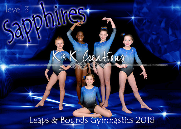 5x7 Sapphires Level 3 Team