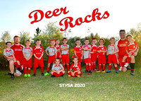 6U Deer Coach Vincent