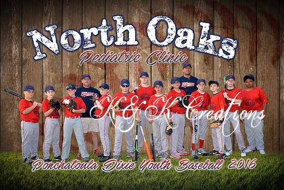 north oaks peds team final