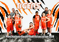 Girls 9-11 Tigers Coach Tommy Ecroyd