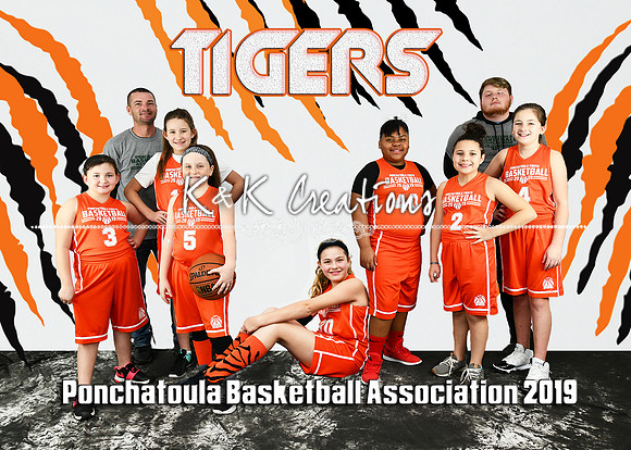 5x7 Girls 9-11 TIGERS TEAM add on