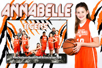 annabelle owen memory mate