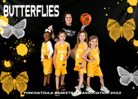 5X7 BUTTERFLIES COACH AARON TEAM