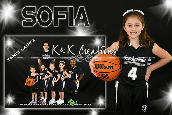 sofia conforto memory mate