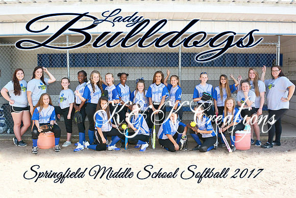 8x12 SMS Softball team 2017
