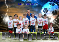 5x7 4U BRAUD PUPPIES STYSA 2017